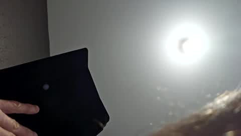 willou73 online show from January 25, 3:20 pm