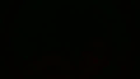 willylicks online show from February 21, 12:06 pm