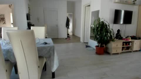 Wolfie online show from October 22, 8:29 am