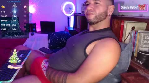 Snapshot of xein_wolf chatting on December 7, 3:25 am Xein Independent Model online show from December 7, 3:25 am