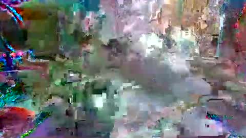 xixo6969 online show from April 12, 7:15 pm