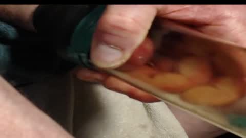 xloadzzz online show from March 8, 12:42 pm