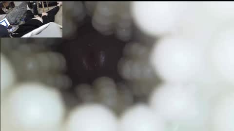 xoxowtf online show from January 11, 6:55 pm