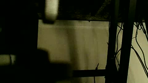 yamagrow online show from March 22, 11:37 am