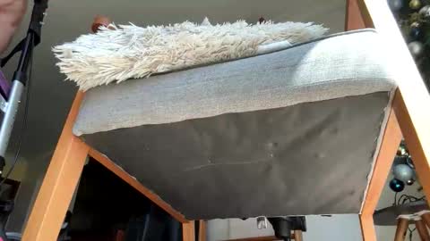 yannisv online show from January 10, 12:53 pm