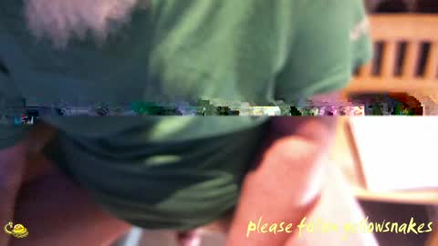 .     y e l l o w s n a k e s       . online show from March 18, 11:57 am