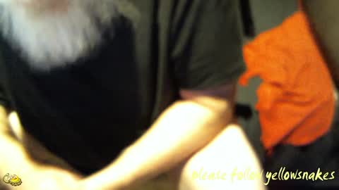 .     y e l l o w s n a k e s       . online show from October 17, 8:51 am