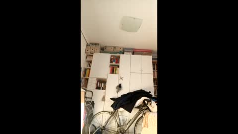 ymasb online show from January 6, 10:41 am