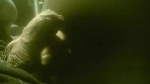 zaboski4 online show from December 20, 8:32 am