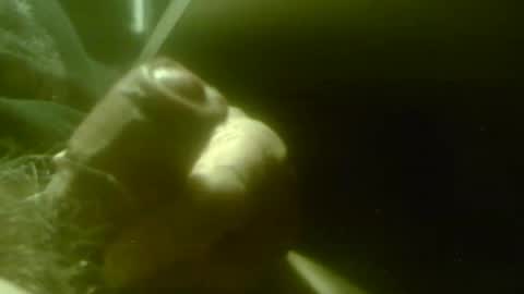 zaboski4 online show from April 29, 7:24 am