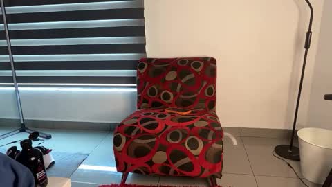 zamirxxxbig online show from January 31, 7:11 pm