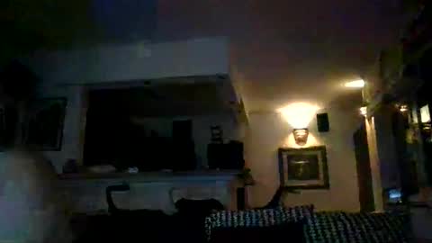 zloprase123 online show from February 2, 1:48 am