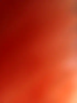 willsafado02 online show from December 2, 5:54 am