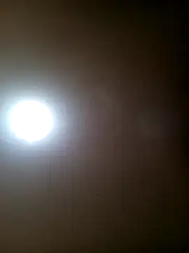 TrainedFinder5 online show from November 12, 12:05 am