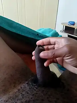 Sunbeam11 online show from April 29, 10:09 am