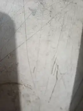 marbecci online show from January 4, 12:16 am