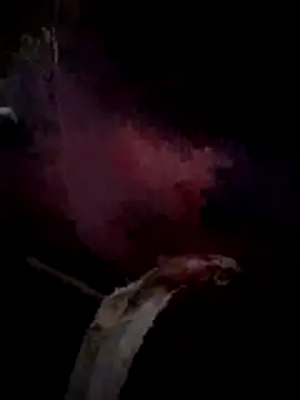 mulaudziv online show from March 15, 2:52 am