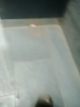 Snapshot of SolitaryMisfit8 chatting on October 24, 5:31 am SolitaryMisfit8 online show from October 24, 5:31 am