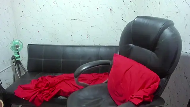  ace ventura online show from February 15, 3:20 pm