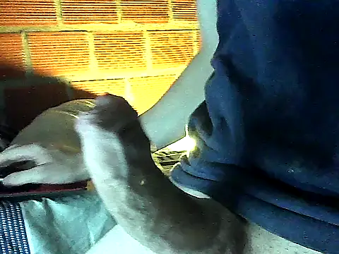 espartano Arg30 online show from April 3, 3:58 am