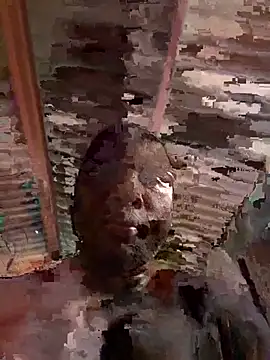 Philexxxx online show from April 16, 11:21 am