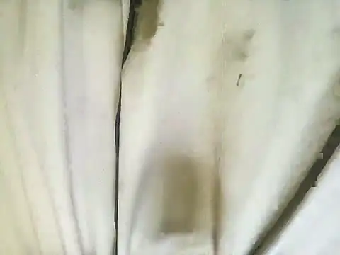 richa22cm online show from November 12, 2:23 pm