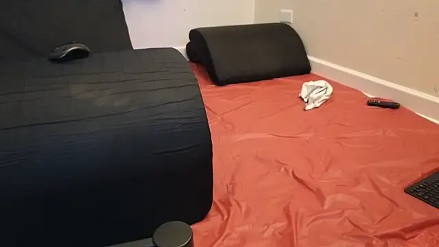 Snapshot of pantslesstraveler_plt chatting on February 3, 1:52 am pantslesstraveler plt online show from February 3, 1:52 am