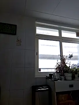 Javier bear online show from November 20, 3:00 pm