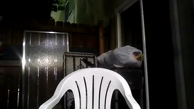 MrDickUdown24 7 online show from February 9, 4:06 am