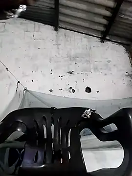 moro28vergon online show from November 22, 5:07 am