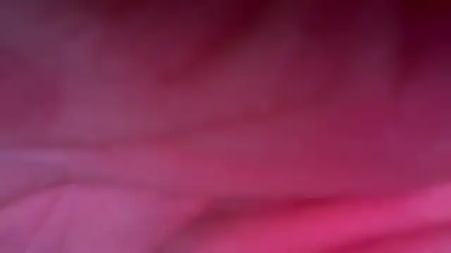 Sinepia online show from October 24, 1:46 pm