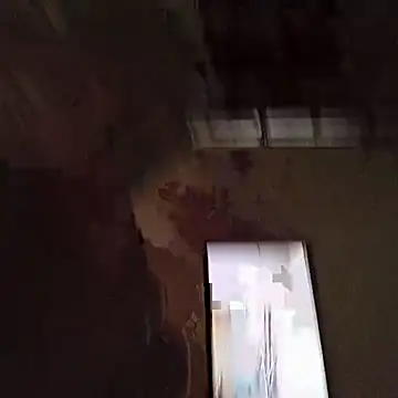 SA BULL online show from November 5, 6:37 am