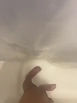 Snapshot of Joaquinp2023 chatting on December 26, 11:35 pm Joaquinp2023 online show from December 26, 11:35 pm