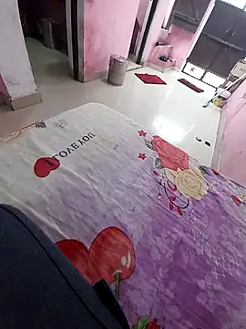 indobigboss online show from December 30, 5:37 am