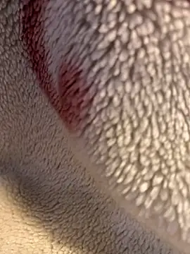 Gengista88 online show from February 23, 5:20 am