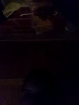 Elvergon3456 online show from October 28, 4:59 am