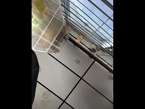 steelwood303 online show from December 21, 7:55 pm