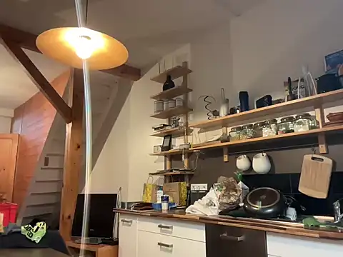 laputedudoc online show from December 19, 5:59 am