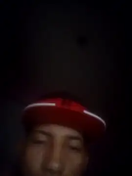 mulino12 online show from December 1, 6:38 am