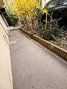 Marianmihai online show from March 26, 7:12 am