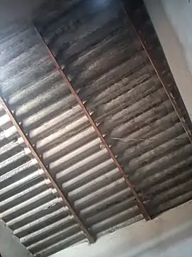 eupica1195 online show from September 12, 3:12 pm