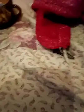 eupica1195 online show from October 11, 4:27 am