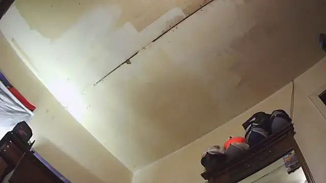 pipeload1275 online show from December 18, 12:50 am