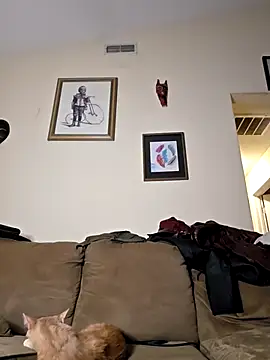 Geaux Again online show from November 13, 12:37 am