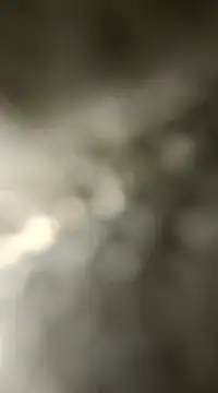 Bierzdobuzisuko4433 online show from February 7, 6:56 pm