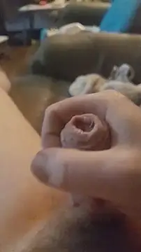 tezbear online show from January 16, 5:21 am