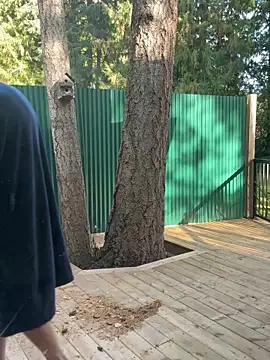 twist699 online show from November 8, 6:44 pm