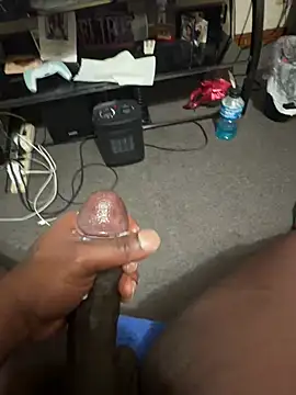 Cameltoekilla online show from February 5, 2:40 am