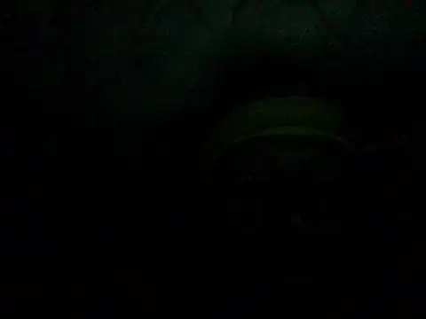 NonhumanButtery online show from April 12, 8:43 pm