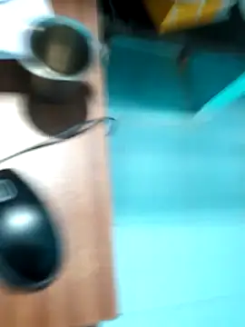 rajesh31tamil online show from January 4, 7:34 am